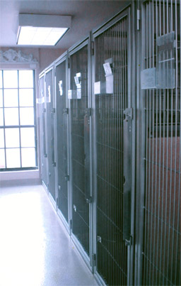 pet boarding, hurricane boarding, nutritional counseling, pet grooming