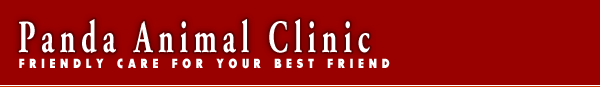 Panda Animal Clinic