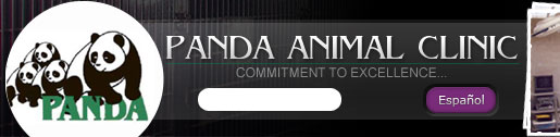 Panda Animal Clinic, Commitment to Excellence.