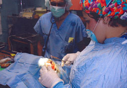 veterinary surgery